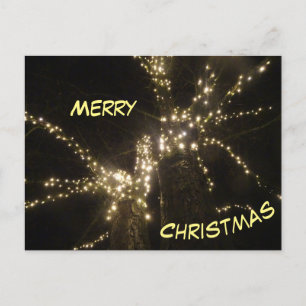 Merry Christmas Outdoor Tree Lights Postcard