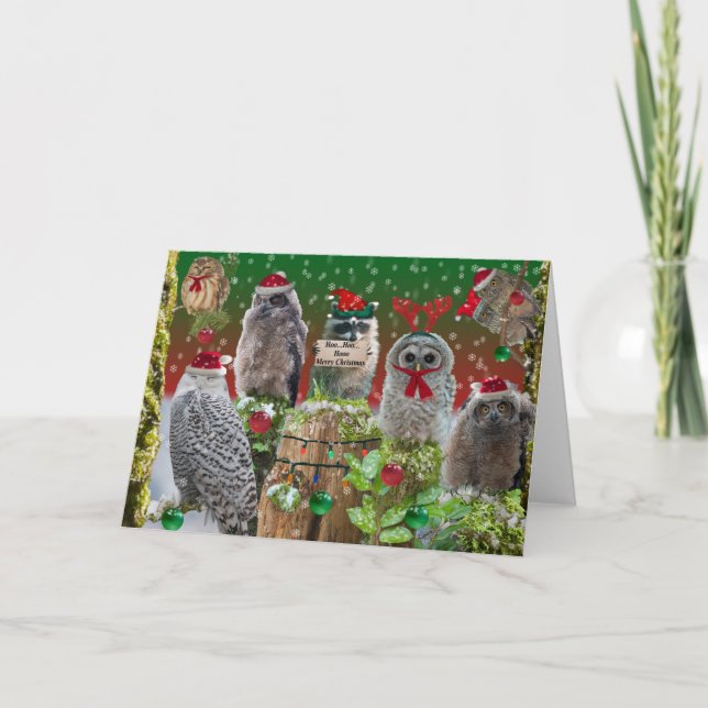Merry Christmas Owls with a little raccoon Holiday Card (Front)