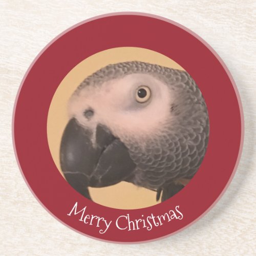 Merry Christmas Parrot Coaster