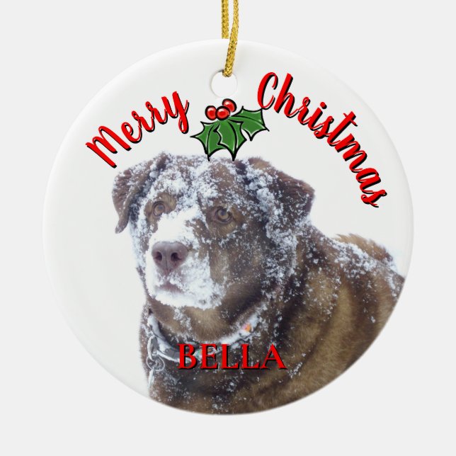  Merry Christmas personalize pet photo template Ceramic Ornament (Front)
