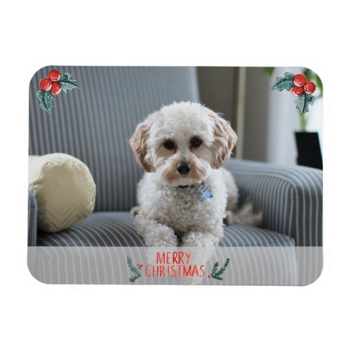 Merry Christmas Photo Card from Pet Magnet