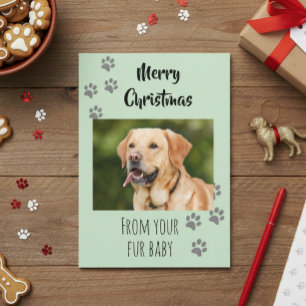 Merry Christmas Photo Dog Cat Pet Fur Baby Card
