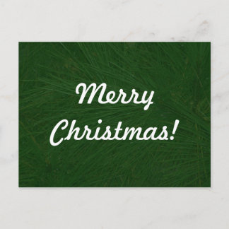Merry Christmas Pine Tree Close Up Holiday Postcard