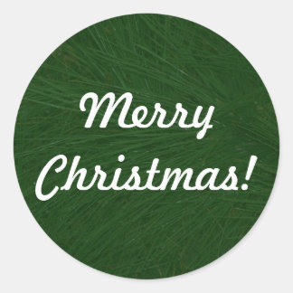 Merry Christmas Pine Tree Close Up Sticker