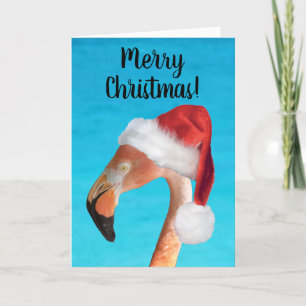 Merry Christmas Pink Flamingo Christmas Card