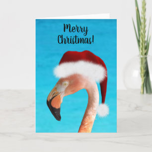 Merry Christmas Pink Flamingo Christmas Card