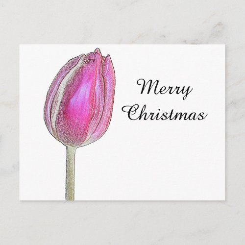 Merry Christmas Pink Tulip Flower Floral Art White Holiday Postcard