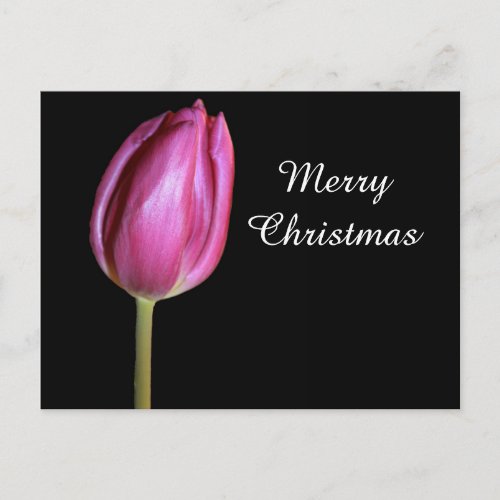 Merry Christmas Pink Tulip Flower Photo Floral Holiday Postcard
