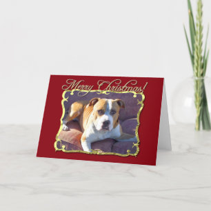 Merry Christmas Pit Bull Dog greeting card