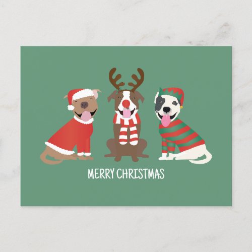 Merry Christmas Pit Bull Dogs Holiday Postcard