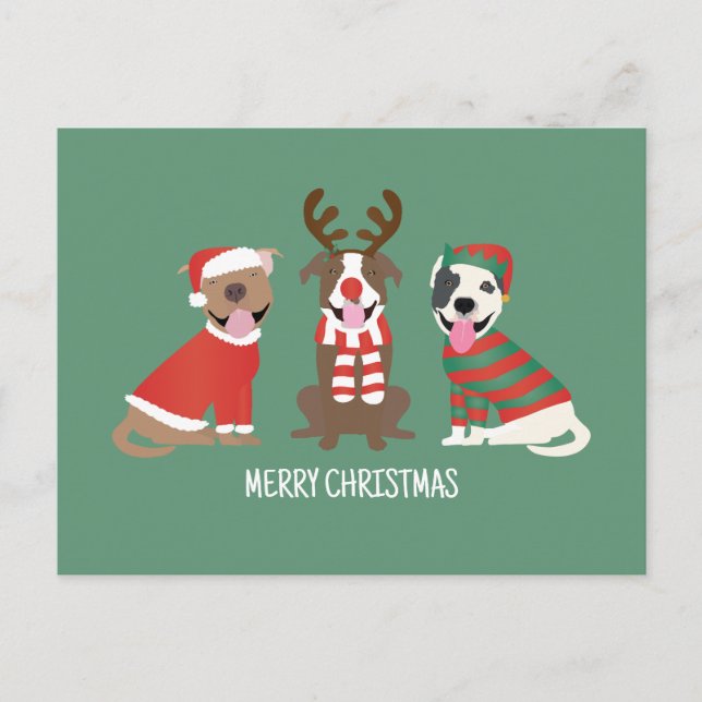 Merry Christmas Pit Bull Dogs Holiday Postcard (Front)