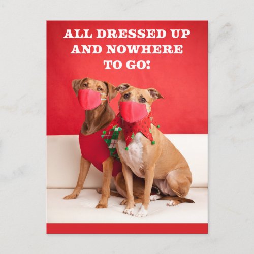 Merry Christmas Pit Bulls in Face Masks Holiday Postcard