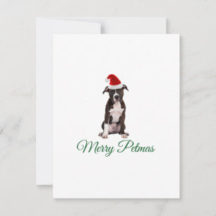 Merry Christmas pitbull  Holiday Card