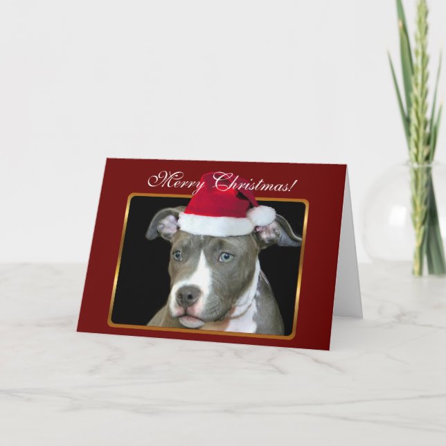 Merry Christmas pitbull puppy greeting card (Front)
