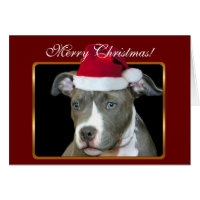 Merry Christmas pitbull puppy greeting card