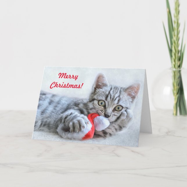 Merry Christmas Playful Kitten Christmas Card (Front)