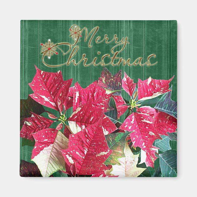 Merry Christmas Poinsettia Magnet (Front)