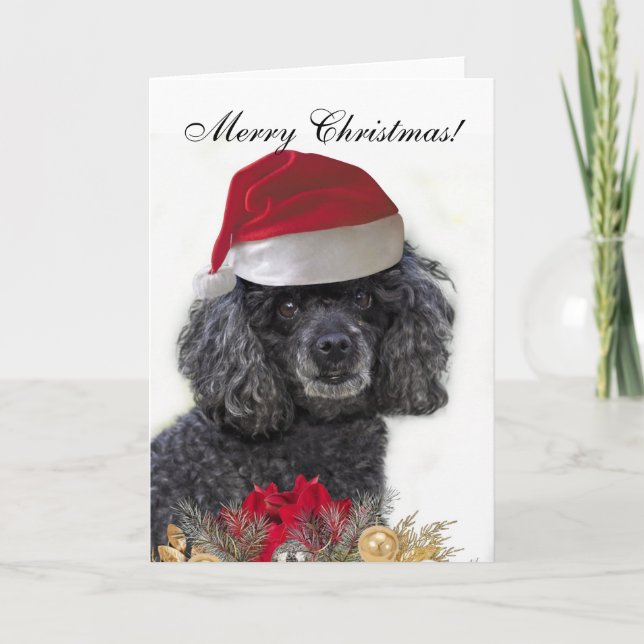 Merry Christmas Poodle Dog greeting Card (Front)