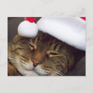 Merry Christmas post card