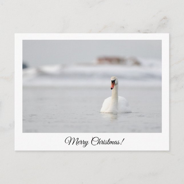 Merry Christmas! postcard (Front)