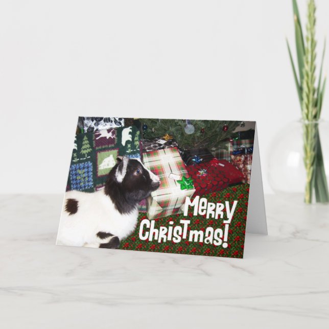 Merry Christmas Presents with Goat Rufus Holiday Card (Front)
