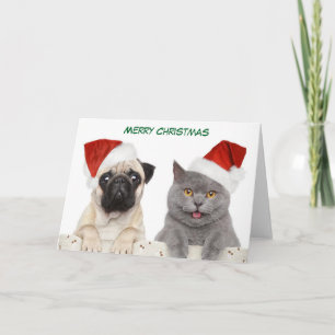 Merry Christmas Pug dog and Kittten Holiday Card