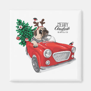 Merry Christmas Pug Driving Vintage Car Magnet