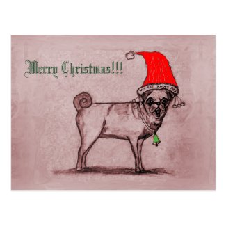 Merry Christmas Pug Postcard