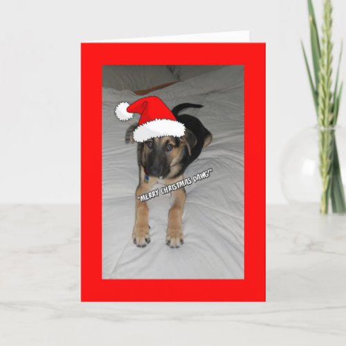 Merry Christmas Puppy Holiday Card