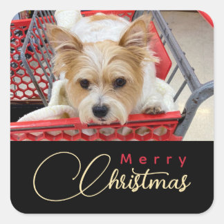 Merry Christmas Puppy Photo Shopping Cart Square Sticker