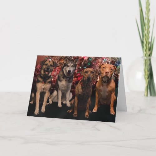 Merry Christmas Pups Card