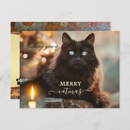 Merry Christmas Purrfect New Year Cat Card