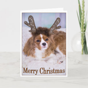 Merry Christmas Raindeer Cavalier King Charles Holiday Card