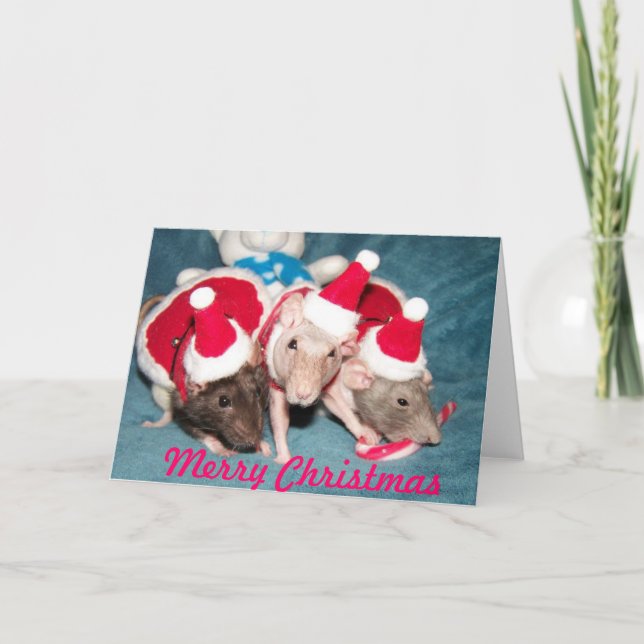 Merry Christmas Rat Holiday Card (Front)