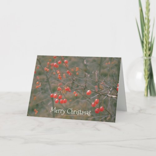 Merry Christmas Red Berries Photo  Holiday Card