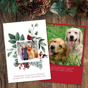 Merry Christmas Red Cardinal 2 Photo Holiday Card