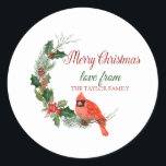 Merry Christmas,Red Cardinal Bird Holly Berry Classic Round Sticker<br><div class="desc">Red cardinal bird on pine tree branches with holly berries on a white background.</div>