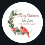 Merry Christmas,Red Cardinal Bird Holly Berry Classic Round Sticker<br><div class="desc">Red cardinal bird on pine tree branches with holly berries on a white background.</div>