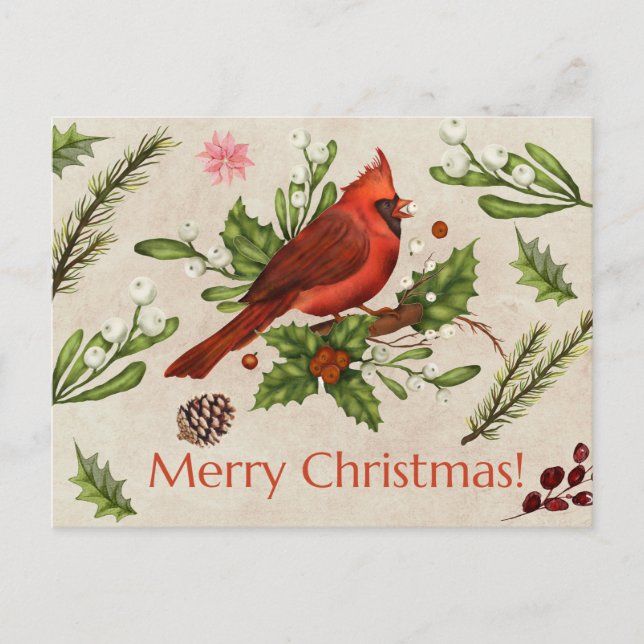 Merry Christmas Red Cardinal  Postcard (Front)