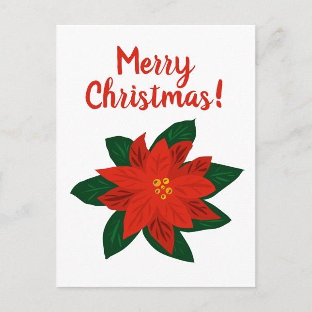 Merry Christmas red poinsettia drawing postcards (Front)