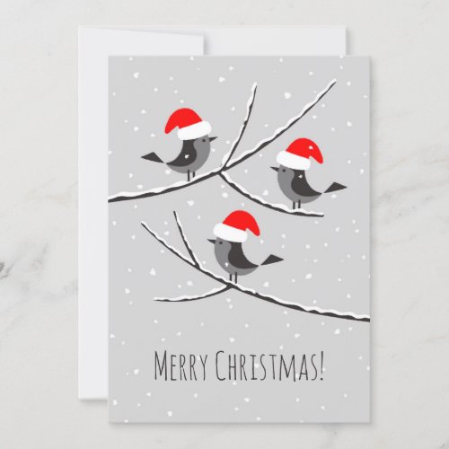 Merry Christmas Red Santa Hat Birds Holiday Card