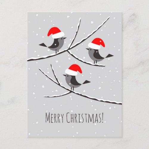 Merry Christmas Red Santa Hat Birds Holiday Postcard