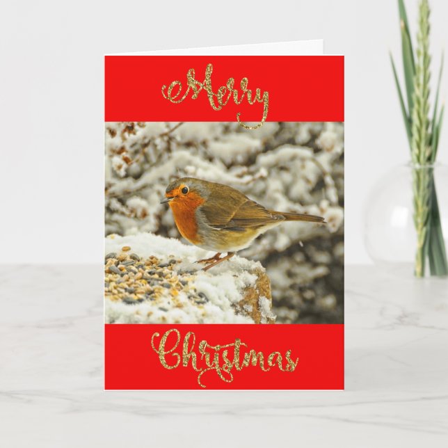 Merry Christmas Robin in Snow Photo Holiday Card (Front)