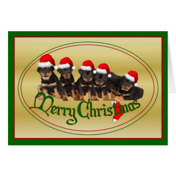 Merry Christmas Rottweiler Puppies Cards