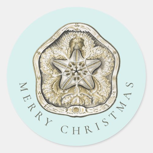 Merry Christmas Sand Dollar Turquoise Coastal Classic Round Sticker