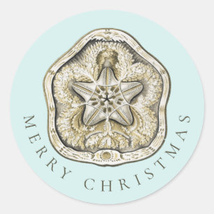 Merry Christmas Sand Dollar Turquoise Coastal Classic Round Sticker