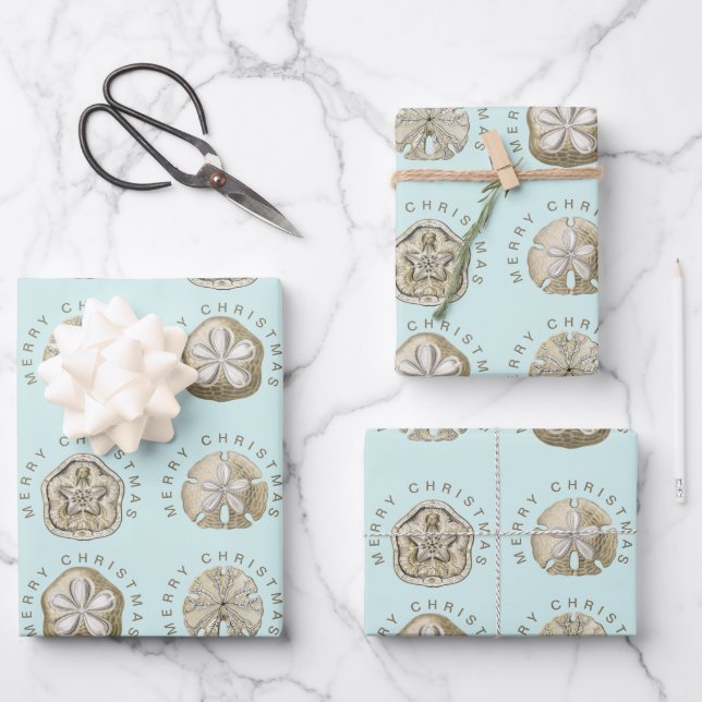 Merry Christmas Sand Dollar Turquoise Pattern Wrapping Paper Sheets (Front)
