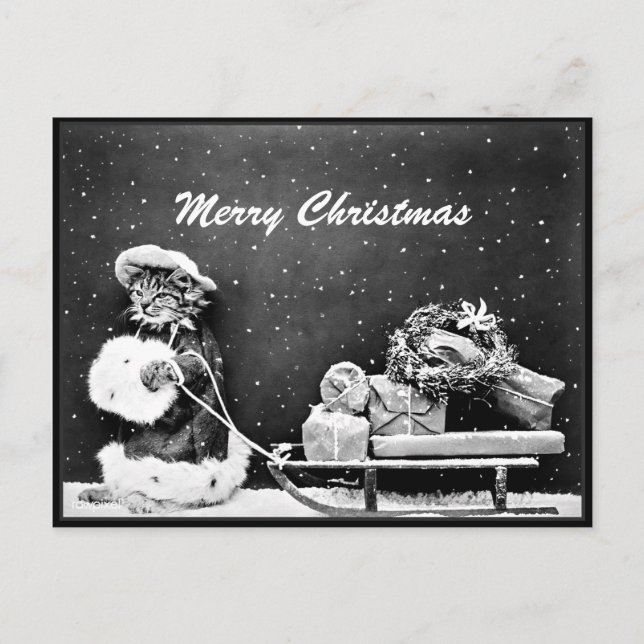 Merry Christmas Santa Cat Christmas  Postcard (Front)