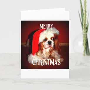 merry christmas santa cav holiday card