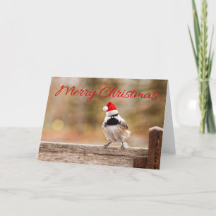 Merry Christmas Santa Chickadee Card